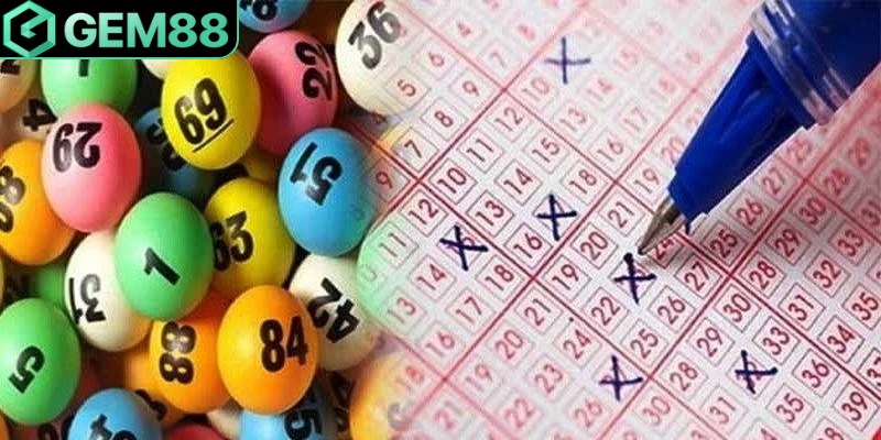 Lô Khung 1 Ngày Là Gì? Cách Nuôi Lô Khung & Thống Kê Kinh nghiệm từ chuyên gia giúp nuôi lô khung 1 ngày hiệu quả